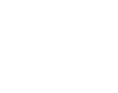 AA-logo-white 1